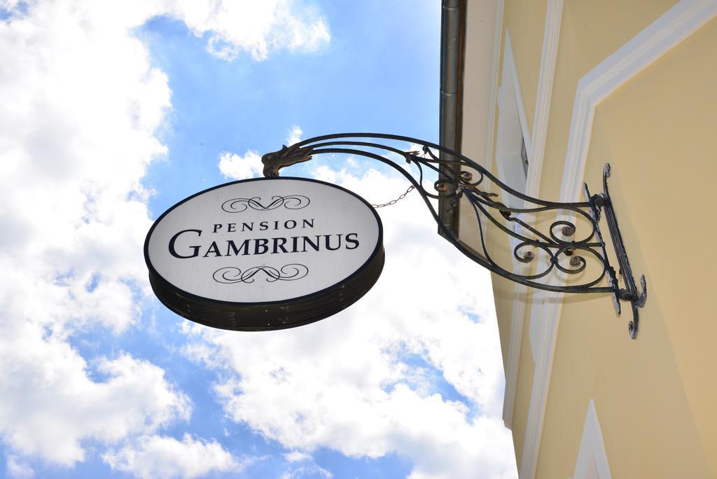 Pension Gambrinus Пасау Екстериор снимка